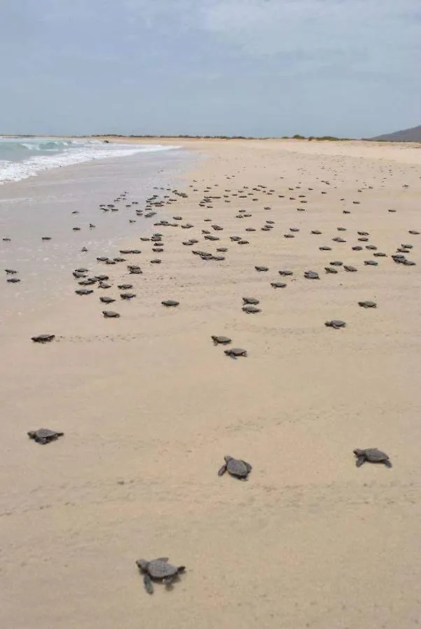 B&B Sereia Azul Boa Vista Sal Rei Panzió